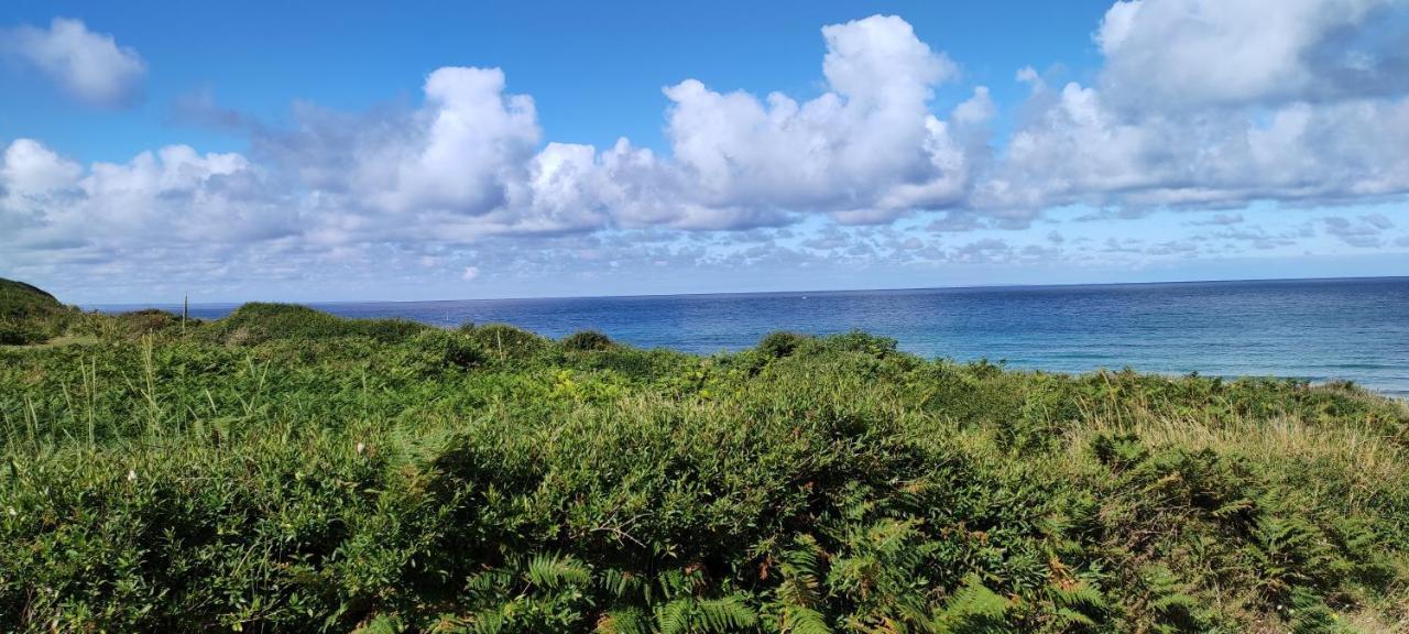 Maison Independante "Chez Felicie" - Tout Confort A Proximite De La Mer Le Rozel Eksteriør bilde